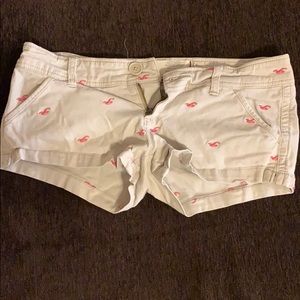 Hollister Shorts